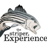 The Striper Experience – Lake Lanier Fishing Guide