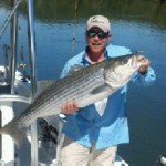 Our Guide Catches a Striper
