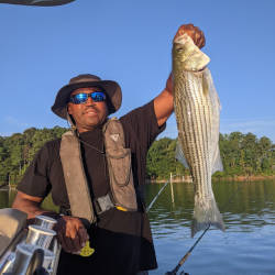 Lake Lanier Striper Fishing