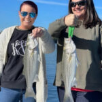 November 2021 Lake Lanier Striper Fishing Report