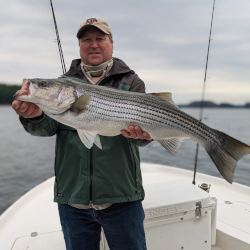 Lake Lanier Striped Bass Catch - May 2023