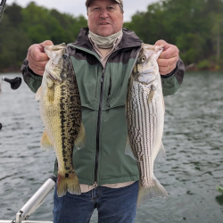 Lake Lanier Spotted Bass and Striped Bass Double -May 2023