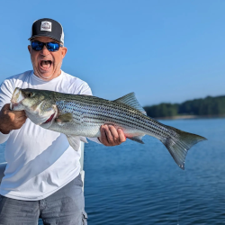 August 2023 Lake Lanier Striper Fishing Report - The Striper