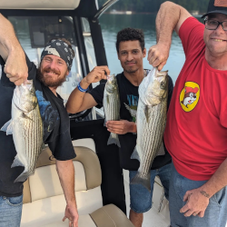 Lake Lanier Triple Striper Catch