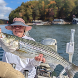 Lady Catches Great Lake Lanier Striped Bass