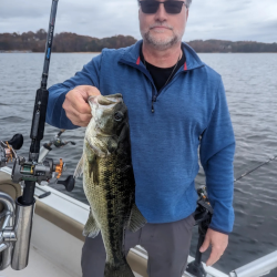 Spotted Bass on Lake Lanier