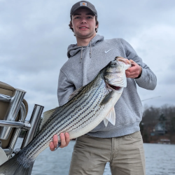 March 2024 Lake Lanier Striped Bass