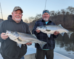 Double April Lake Lanier Striped Bass Catch