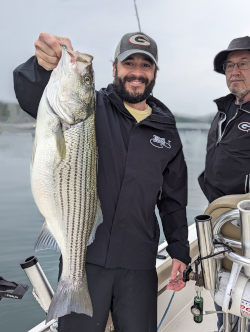 Lake Lanier Striper