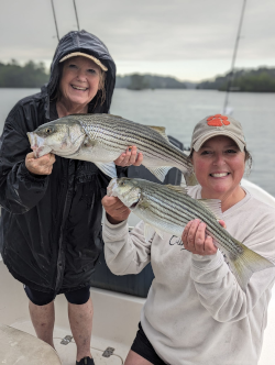 Lake Lanier Striped Bass