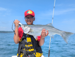 Boy catches Lake Lanier Striped Bass