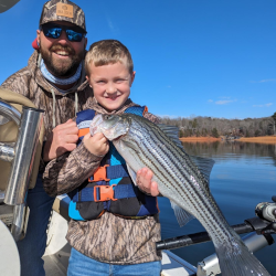 Lake Lanier Striped Bass