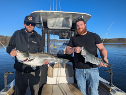 Double Catch - March Striper Fishing