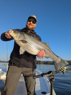 Great April Lanier Striped Bass