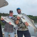 May is a great month for striper on Lanier