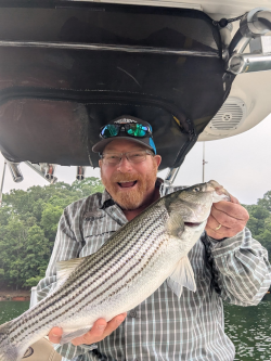 Captain Ron of The Striper Experience catches a Lake Lanier Striper
