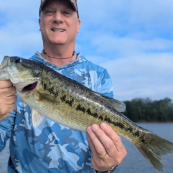 Lanier Spotted Bass
