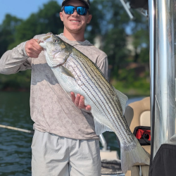 June Lake Lanier Striper Fishing