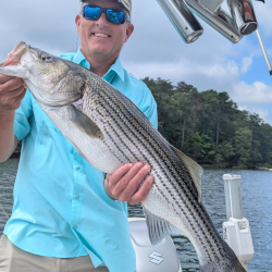 Great June Lanier Striped Bass