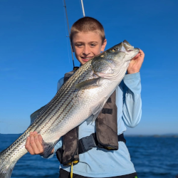 Lake Lanier Striper Fishing Fun