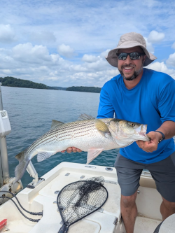 Lake Lanier Striped Bass