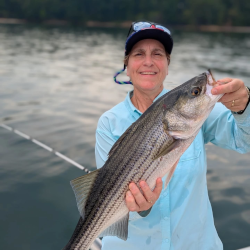 September Lake Lanier Striper
