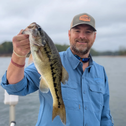 Lake Lanier Spotted Bass