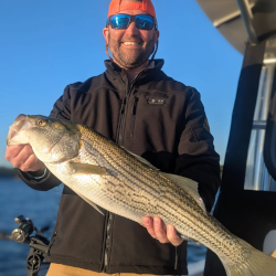 Lake Lanier Striped Bass