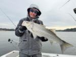 Great December Lake Lanier Striper