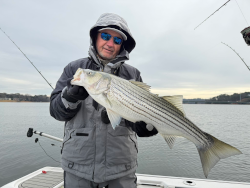 Great December Lake Lanier Striper
