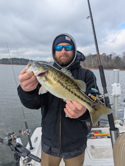Great Lake Lanier Spotted Bass