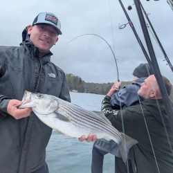 Lake Lanier Striper Guide
