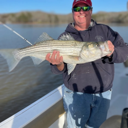 Lake Lanier Striped Bass