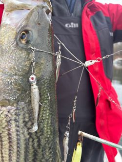 Mini Mack with StriperTackle heads