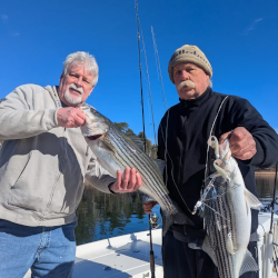 Doubled Up on Lake Lanier Striped bass