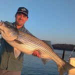 Great Lake Lanier Striped Bass