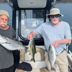 Triple Catch on Lake Lanier