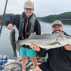 Family catching lake lanier striper