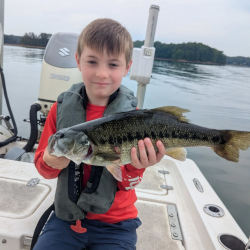 Good lanier spotted bass