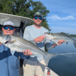 Double Lake Laneir Stripers