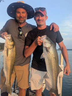 Lake Lanier Striped Bass Catch