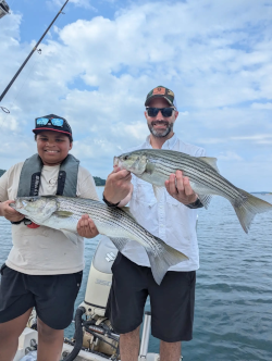 July Lake Lanier Striped Bass