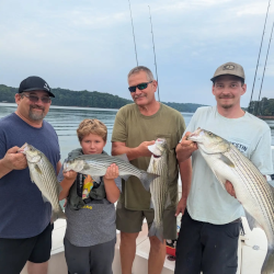 Lake Lanier Quadruple Striper Catch