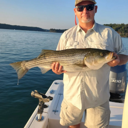 Lake Lanier Striper Fishing