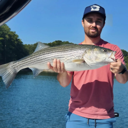 Great fall Lake Lanier Striper